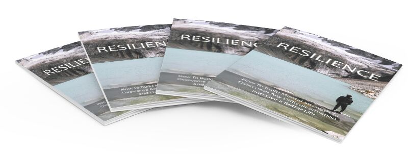 eCover representing Resilience eBooks & Reports with Master Resell Rights