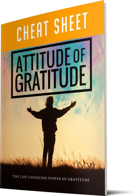 eCover representing Attitude of Gratitude eBooks & Reports with Master Resell Rights