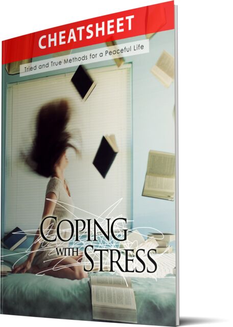 eCover representing Coping With Stress eBooks & Reports with Master Resell Rights