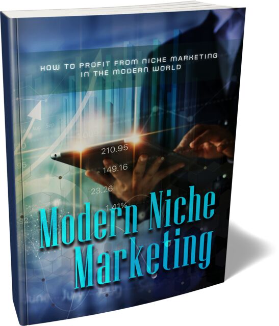 eCover representing Modern Niche Marketing eBooks & Reports with Master Resell Rights