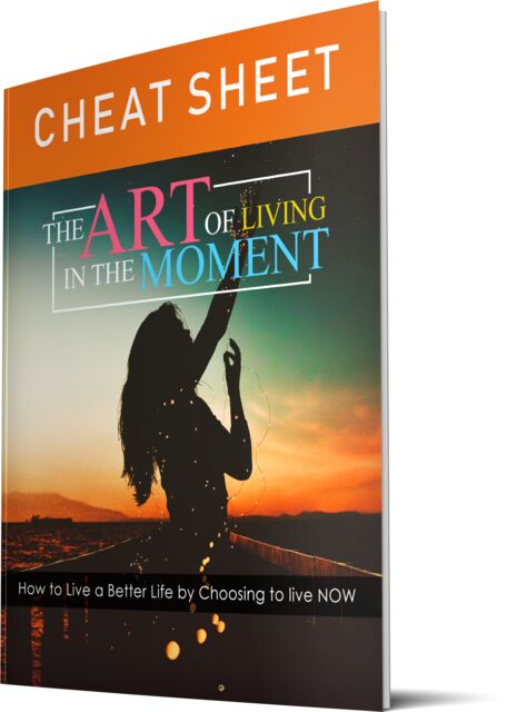 eCover representing The Art Of Living In The Moment eBooks & Reports with Master Resell Rights