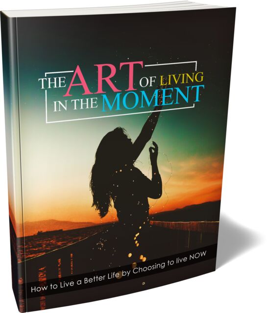 eCover representing The Art Of Living In The Moment eBooks & Reports with Master Resell Rights