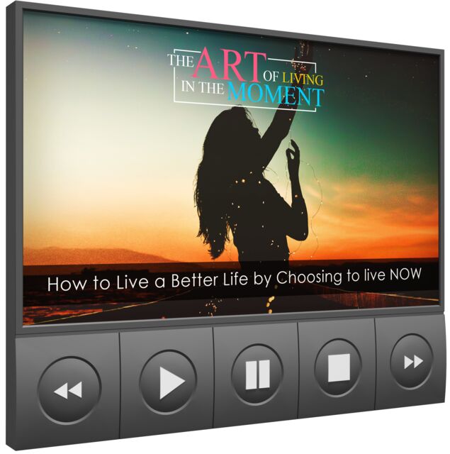 eCover representing The Art of Living In The Moment Video Upgrade eBooks & Reports/Videos, Tutorials & Courses with Master Resell Rights