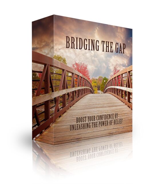 eCover representing Bridging The Gap eBooks & Reports with Master Resell Rights