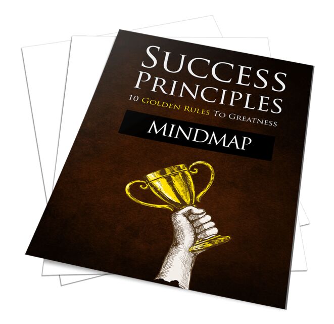 eCover representing Success Principles eBooks & Reports with Master Resell Rights