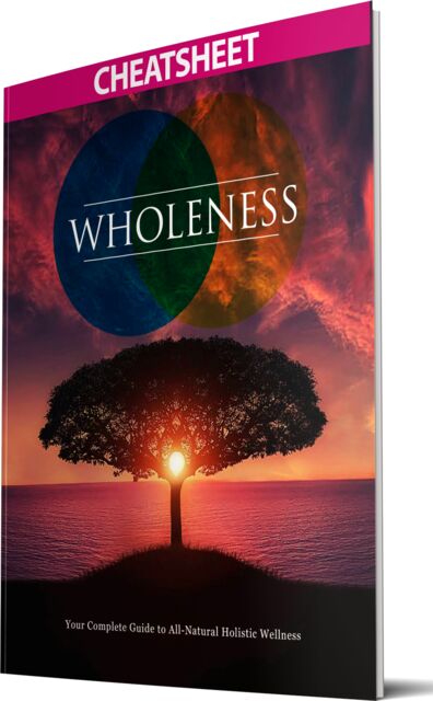 eCover representing Wholeness eBooks & Reports with Master Resell Rights