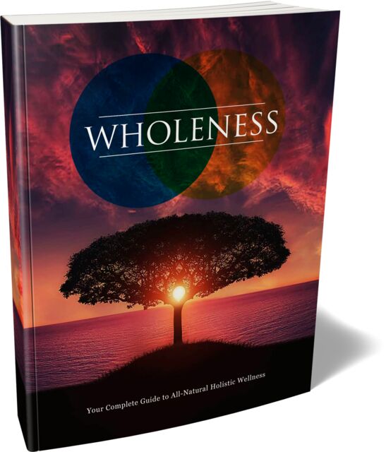 eCover representing Wholeness eBooks & Reports with Master Resell Rights