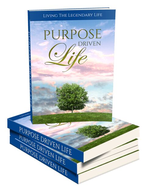 eCover representing Purpose Driven Life eBooks & Reports with Master Resell Rights