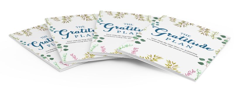 eCover representing The Gratitude Plan eBooks & Reports with Master Resell Rights
