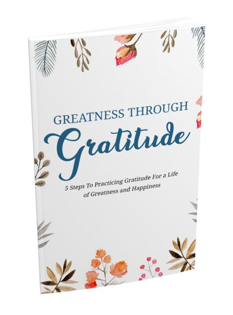 eCover representing The Gratitude Plan eBooks & Reports with Master Resell Rights