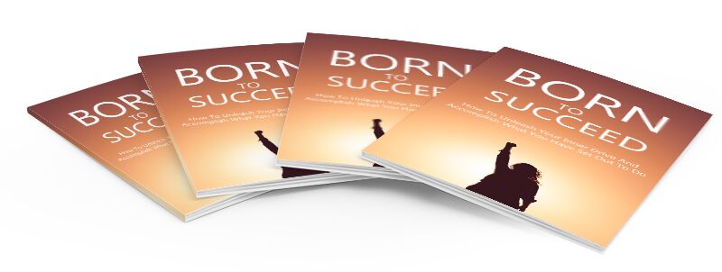 eCover representing Born To Succeed eBooks & Reports with Master Resell Rights