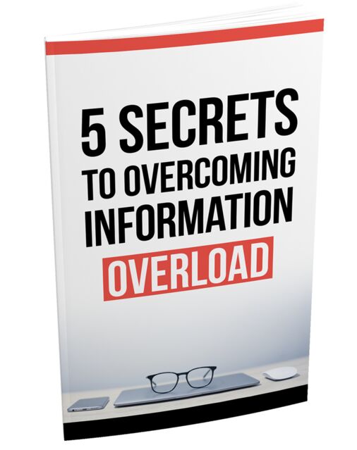 eCover representing Beat Information Overload eBooks & Reports with Master Resell Rights